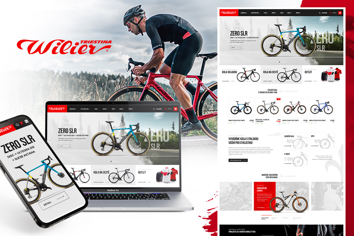 Webdesign willier