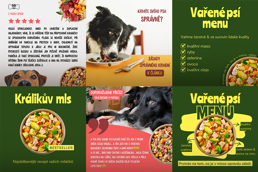 Ukázka zvěřejňovaných příspěvků