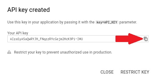 copy api key